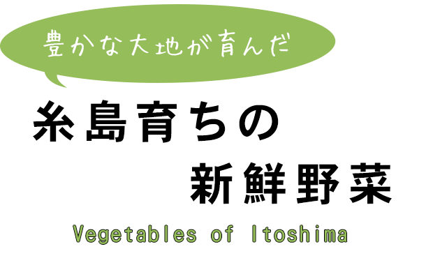 糸島育ちの新鮮野菜