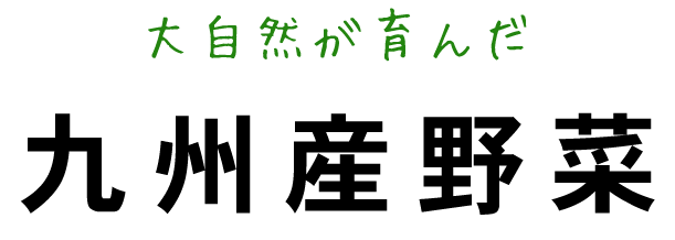 大自然が育んだ九州産野菜