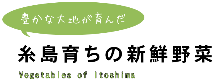 糸島育ちの新鮮野菜