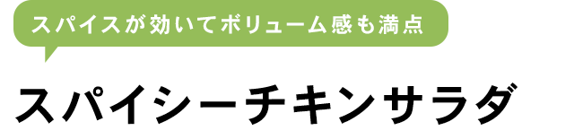 スパイシーチキンサラダ