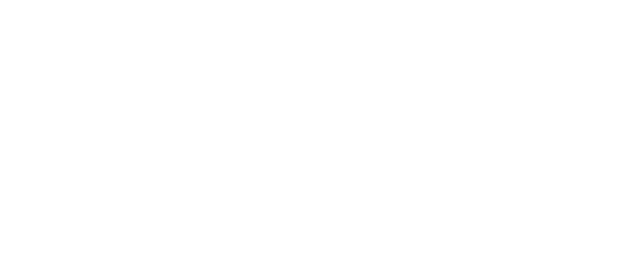 どり着いたのは 九州産