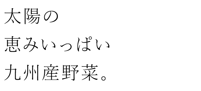 恵みいっぱい九州産野菜