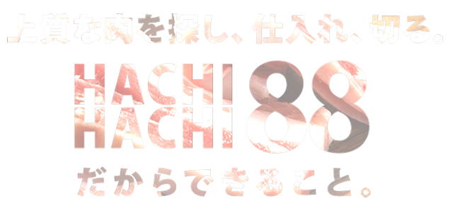 HACHI HACHI